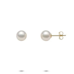 Akoya White Pearl Earrings in Gold - 7-7.5mm